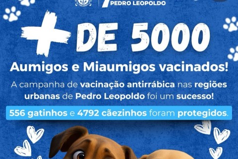 Pedro Leopoldo vacina mais de 5 mil animais contra a raiva; campanha continua na Vigilância em Saúde