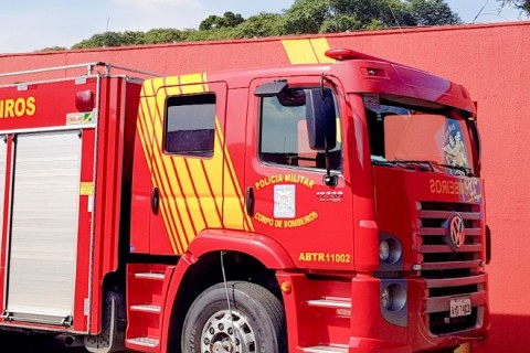 Bombeiros resgatam ave presa em igreja e realizam soltura em área de mata em Pedro Leopoldo