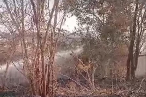 Defesa Civil atua em focos de incêndio no fim de semana em Pedro Leopoldo; população deve redobrar cuidados durante a estiagem