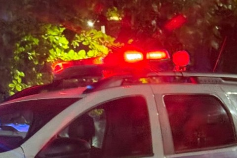 Operação policial apreende drogas, arma e dinheiro em Pedro Leopoldo