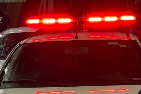 Ônibus atropela cão comunitário que morreu no local em Pedro Leopoldo