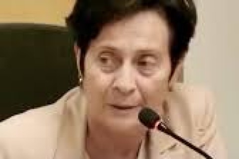 Vereadora propõe acelerar tramitação de projetos e unificar reuniões das comissões na Câmara Municipal