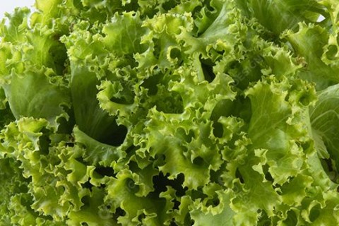 Homem é abordado pela PM após tentar fugir com pé de alface no Centro de Pedro Leopoldo