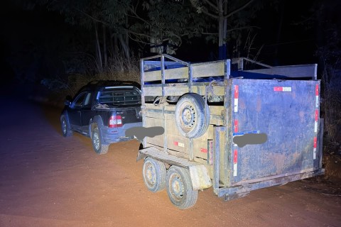 Vaca furtada é recuperada durante ação policial em Prudente de Morais