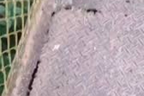 Moradores denunciam estado crítico de ponte que liga ao Capão; Prefeitura diz que obra está no cronograma
