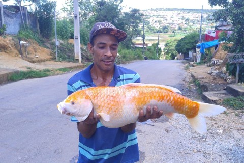 Peixe de grande porte chama atenção na Lagoa de Santo Antônio e reforça debate sobre preservação ambiental